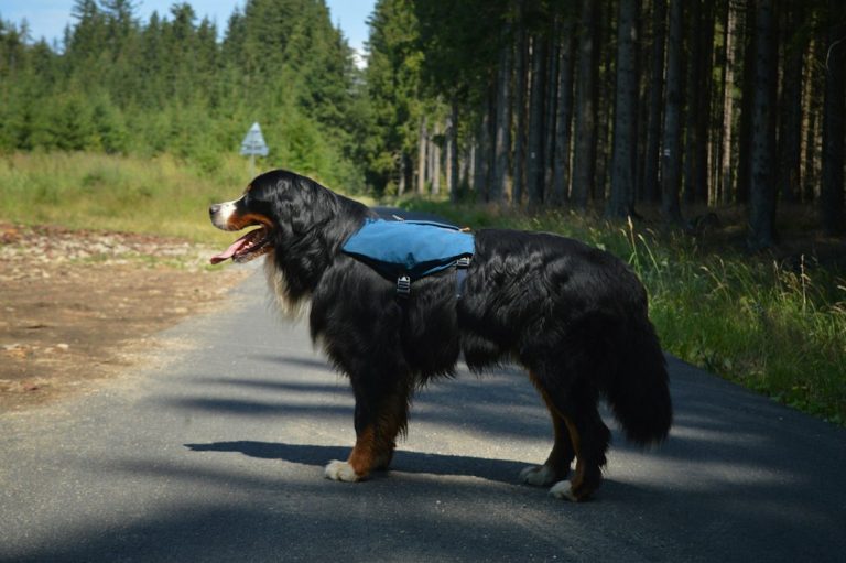Traveling Light: The Benefits of a Minimalist Backpack Setup